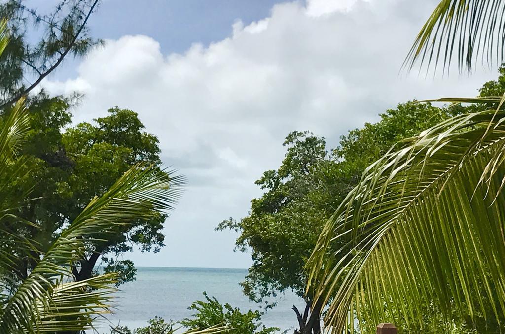 Bonita'S Caye Caulker Exterior foto